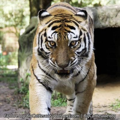 JoseJoaquinRol2's profile picture. 