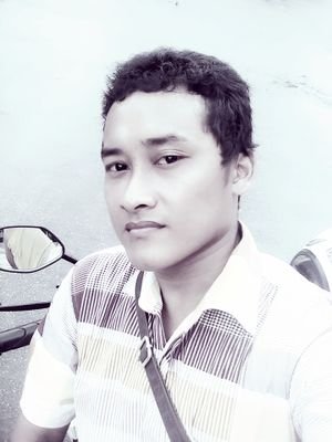 jimmynetr's profile picture. 