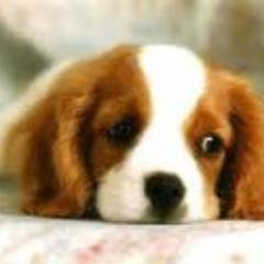 beatriz55066896's profile picture. 