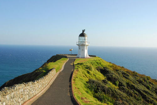 News & updates from the most northerly area of NZ including Cape Reinga and 90 Mile Beach from the official i-SITE Visitor Centre