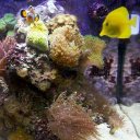 Eric Mock - @Apollo906beach - Twitter