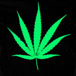 Frula Kanabis Ispod Mikroskopa Kanabis Cannabis Znanost Science Mikroskop Trihomi Frula T Co Obau8hcdut T Co Dssa5blb77