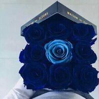 ورد ازرق (@blue__flower5) Twitter profile photo