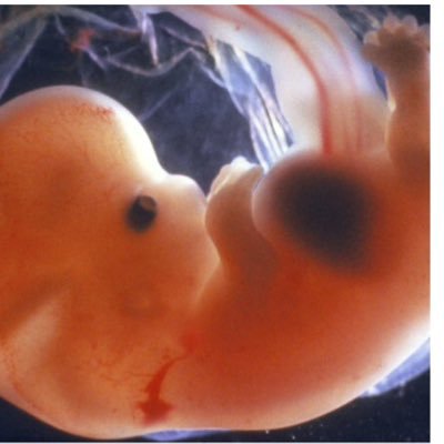 eatingfortwo_'s profile picture. 