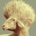 Akratis (@akratis_) Twitter profile photo Akratis (@akratis_) Twitter profile photo