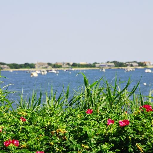 Stay longer on your next Cape Cod vacation! Stay in one of our vacations homes or cottages - All the space of home with resort amenities!