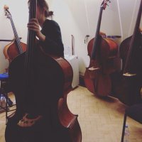Marianne Schofield (@bass_schofield) 's Twitter Profile