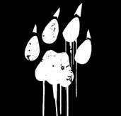 Fresh Releases: COUCH SLUT / CHERUBS / LOCAL H / TRANSIT METHOD / SHOCK WITHDRAWAL / MELANCHOLIA / INTERCOURSE / DEATH POSE / ZOZOBRA