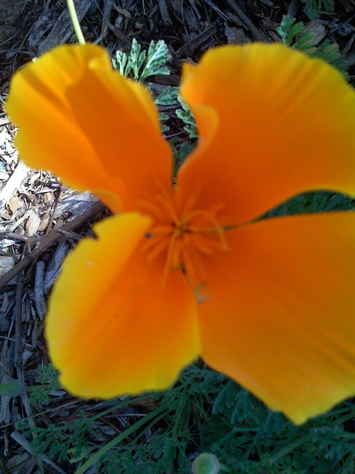 AmyMcQuillan's profile picture. Peace worker, compassionate communicator