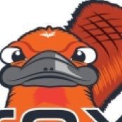 ProXyOLT Profile Picture