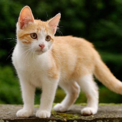 zioytx's profile picture. lol