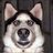 stephen_k_kim's profile image