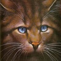 Hawkfrost (@hawkfrost4_real) 's Twitter Profile