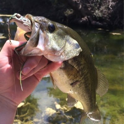 The #1 account of all things bass fishing