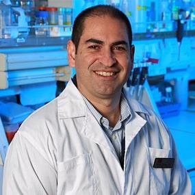 PhD #Cellular and #Molecular #Biology Scientist #expert on #mitochondrial physiology professor at Andres Bello University Seahorse Bioscience Tufts University