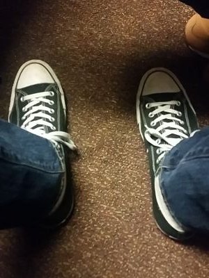 TrashDegeneracy's profile picture. Tweets from the worst timeline.