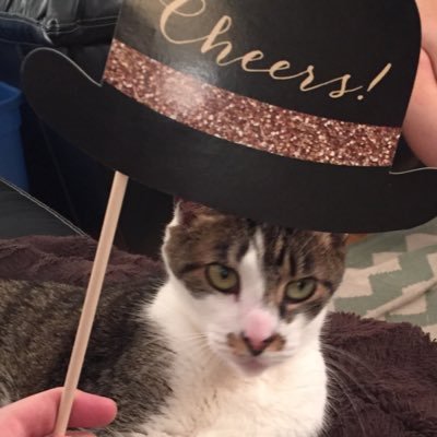 DTowbs's profile picture. 