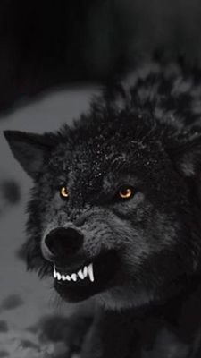 KillerviewCal's profile picture. 