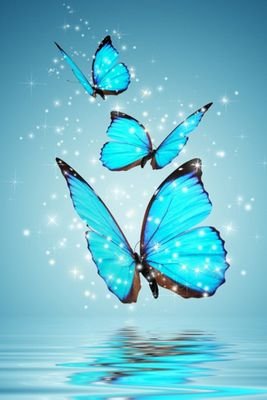 smellykira123's profile picture. 