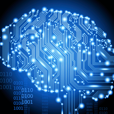 zorrack's profile picture. Siempre Intrigado