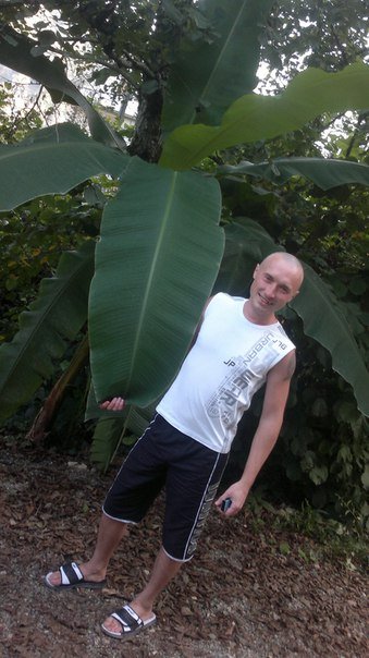 Samotis1981's profile picture. 
