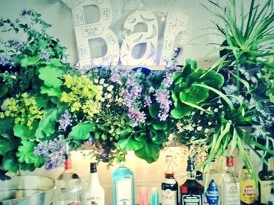 We like plants and trees yes. Our self designed and built bars pop up all over the shop. Just like little seedlings.