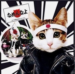 mariciten's profile picture. 一般エロ～極エロ変態まで～ / 全国の変態人の輪  広げましょう /