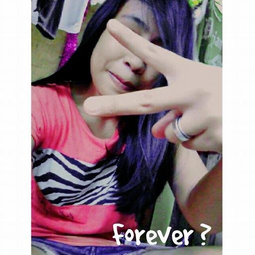 F(Fan) , Exo-L's , Sone