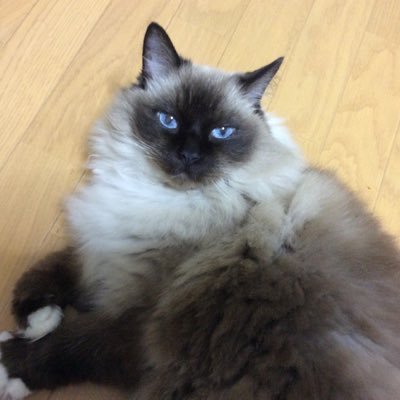 mizu05235544's profile picture. 