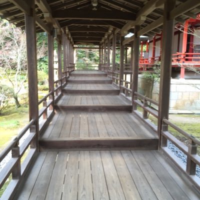 ちくブロやってる人。神社仏閣巡りと御朱印、クリームソーダ、鳥が好きです。写真などの無断転載、エロ、ビジネス系の方はNGです。2019.10.25💍 雑記→@chikuhobbyphoto