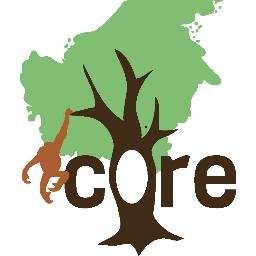 CORE Borneo is a registered (U.S.A.) non-profit NGO 501(c)(3). We support research at the Tuanan Research Station in Indonesian Borneo