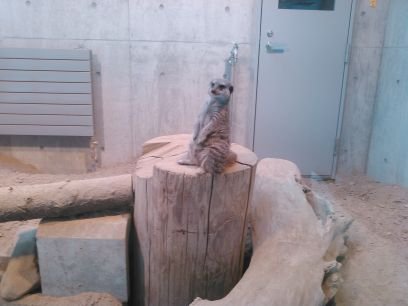 noboder4x4's profile picture. 