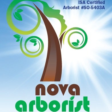 NovaArborist's profile picture. Certified Arborist - Urban Tree Enthusiasts