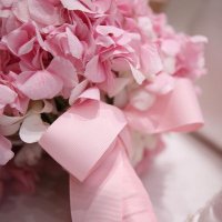 آمــنــة العوضي (@amnaghassan) 's Twitter Profile