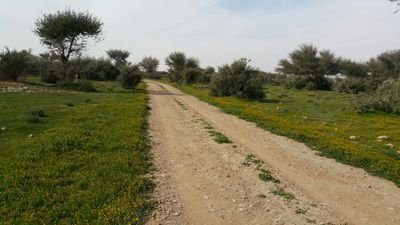 ‏اتمنى  للآخرين  ماتمني  لنفسي