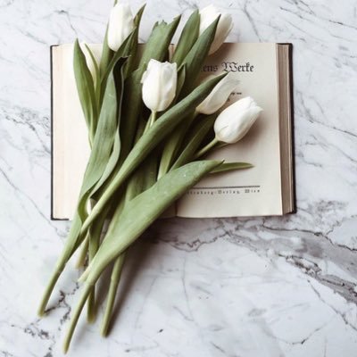 AljaberiHeba's profile picture. ﴿وإليه ير‌جع الأمر‌ كله﴾