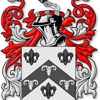 tramsd99's profile picture. 