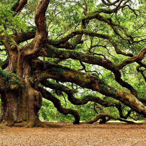 If you have mutually beneficial opportunities, I have resources ready for investment.