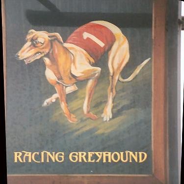 For all Bookings and Enquiries : 01843 593011 or Email theracinggreyhound@outlook.com