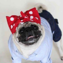 Rachel Chao - @raeraechao - Twitter