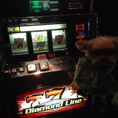 Profile Picture of Randy T. Hammock (@HammockRandy) on Twitter