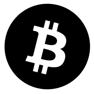 Bitcoin Core Project Profile