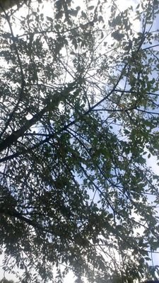 hsas71's profile picture. 