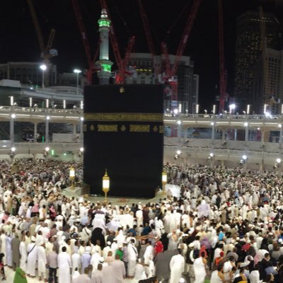 abdo_farghly's profile picture. 