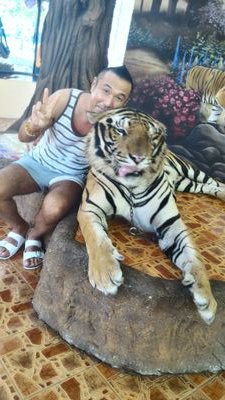 tecci1's profile picture. 