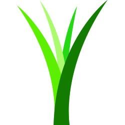 Master golf green designers and Installers Synthetic Turf Surfaces for Residential & Commercial Properties (Golf, Lawn, Pet, Playground, Sport)