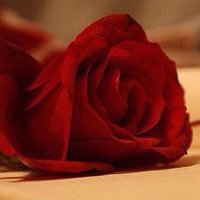 ابها (@sassiri1199) 's Twitter Profile