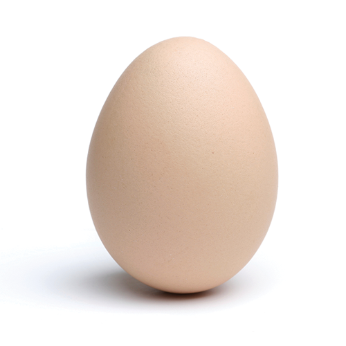 TheInedibleEgg Profile Picture