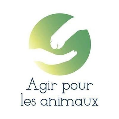 🌟 Nous sommes une #association (loi 1901) de #protectionanimale gérant un refuge accueillant #chiens
 #chats et #NAC près de #Toulouse 🌟
#AdoptDontShop