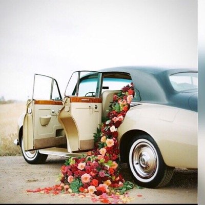 arreshidi's profile picture. طبيب نائب أول أشعه تشخيصيه